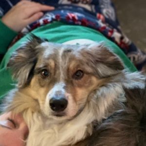 Meet your Posher, Lola